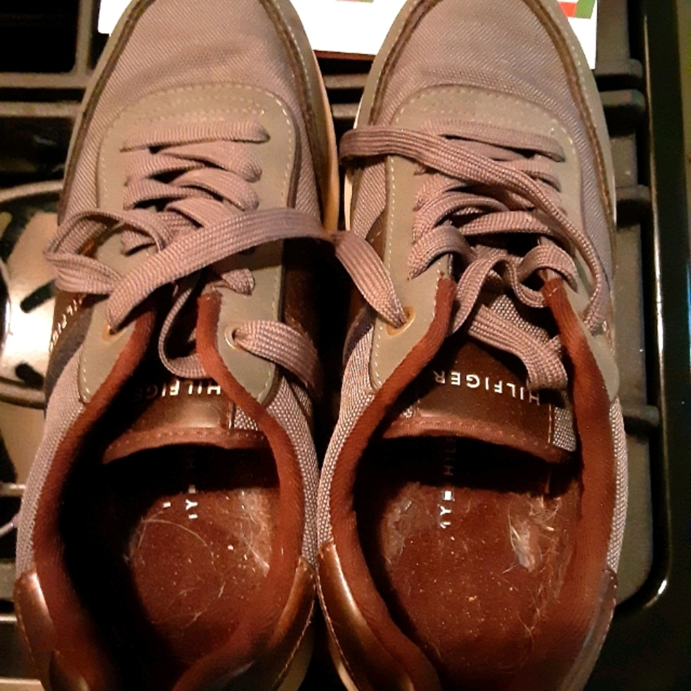 Hilfiger shoes